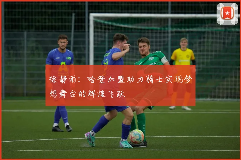 徐静雨：哈登加盟助力骑士实现梦想舞台的辉煌飞跃